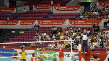 World Cup Wow GIF by Volleyball World