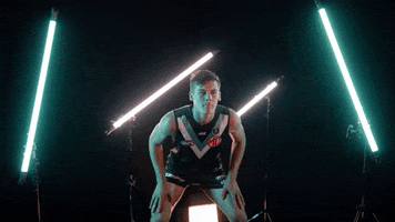 Cricket Afl GIF by Port Adelaide FC