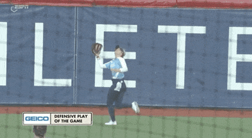 Great Catch GIF by Athletes Unlimited