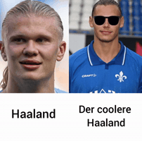 Sv Darmstadt 98 GIF