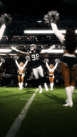 Las Vegas Raiders Nfl GIF