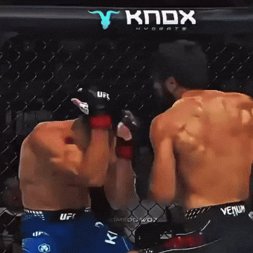 Ufc Mma GIF