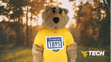 West Virginia Run GIF by WVU Tech Golden Bears