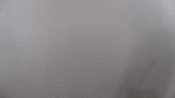 200.gif?cid=fc005b08285f5940c46ad19826a45caa633fe09fc28d5df1&rid=200.gif&ct=g
