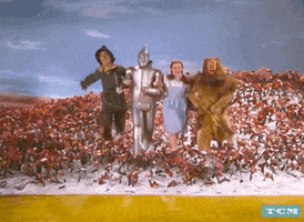 Wizard Of Oz GIF by Turner Classic Movies