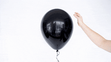 200.gif?cid=fc005b08986f85299a394ecad5b63f506facbbbd8bf8bfa7&rid=200.gif&ct=g