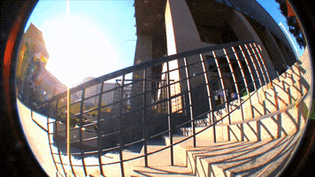 GIF by Shieldless Magazine