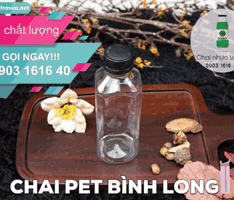 Ho Chi Minh GIF