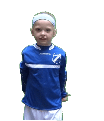 AGOVV Apeldoorn Sticker