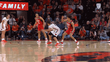 Jumper Gobeavs GIF by Pac-12 Network
