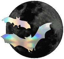 Full Moon Halloween Sticker by blackmooncosmetics