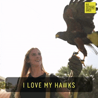 Fly High Birds GIF by 60 Second Docs