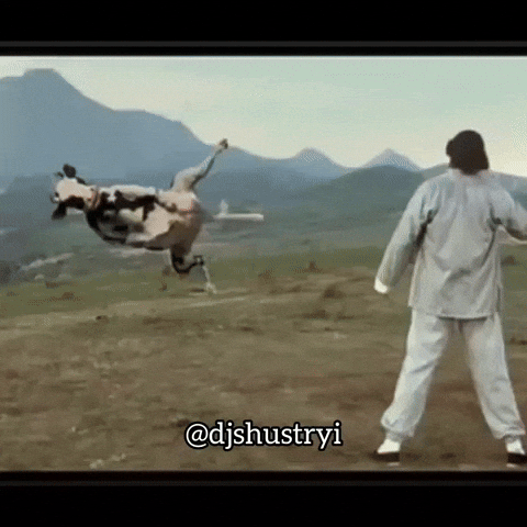 Kung Pow Cow Vs Man GIF