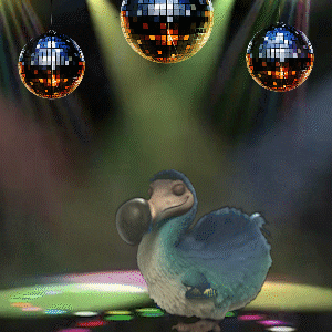 Happy Dance GIF by Dodo Australia