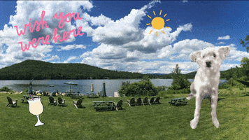 Vacation Lake GIF by chuber channel