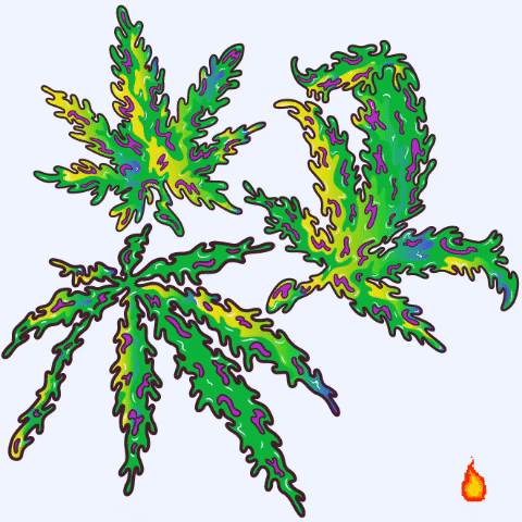 Cannabis Leaf GIF by Robot P