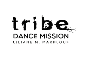 Dance Danceschool Sticker by Sensei