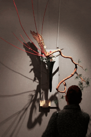 Ikebana GIF