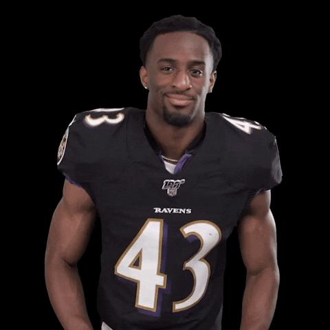 Baltimore Ravens Thumbs Up GIF by NFL