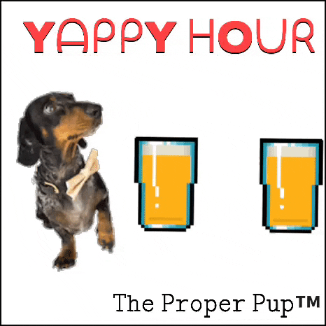 yappy hour GIF by The Proper Pup