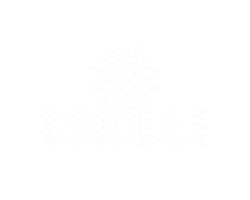 Musicmarketing Sticker by Nimble Entertainment