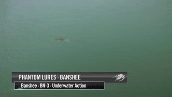 GIF by Omnia Fishing