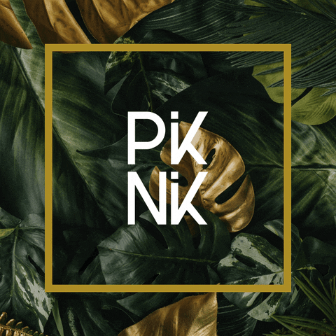 PiKNiK GIF