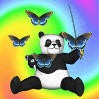 Panda Butterflies GIF