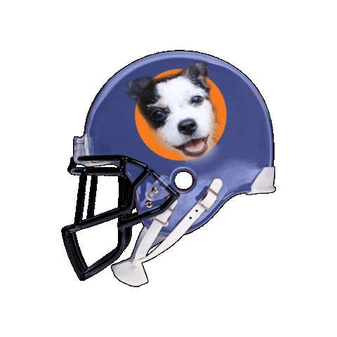 Football Helmet Sticker by Kentucky Humane Society