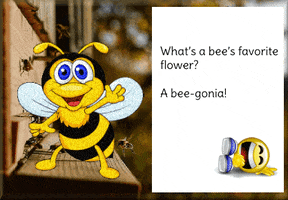 Bumble Bee GIF