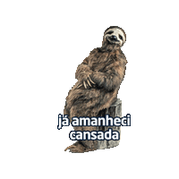 DIRECTV GO BRASIL Sticker