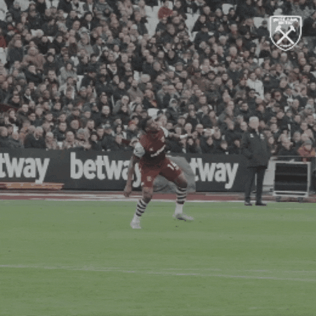 Premier League Sport GIF by West Ham United