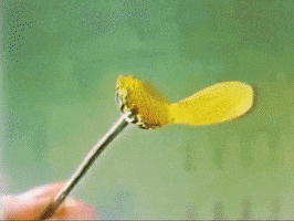 Lowpursuit GIF