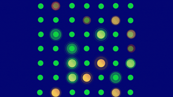 Local Search Grid GIF