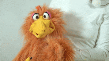 Look Reaction GIF by Living Puppets
