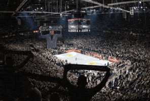 Serbia Partizan GIF