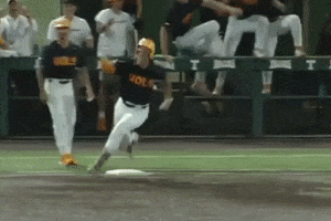Baseball GIF