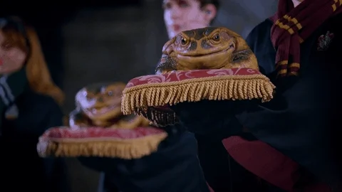 Harry Potter Frog GIF by Universal Destinations & Experiences