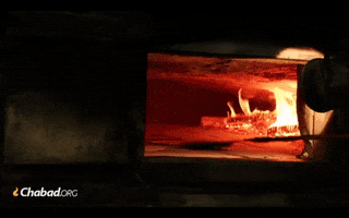 GIF by ChabadYoungHJC