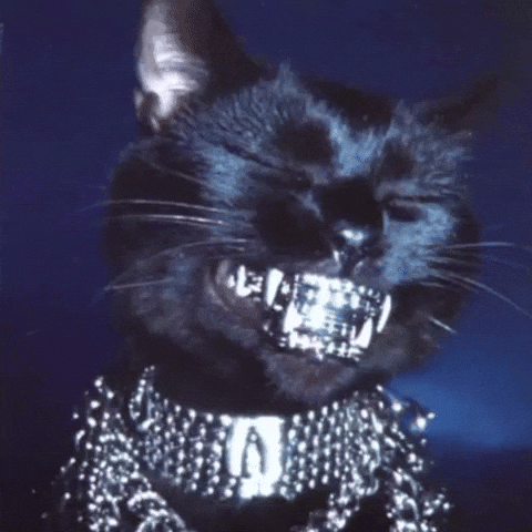 Cat Teeth GIF