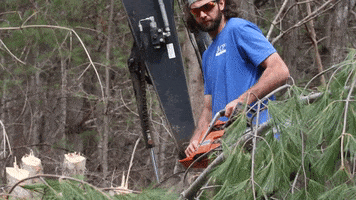 Pine Tree Chainsaw GIF by JC Property Professionals