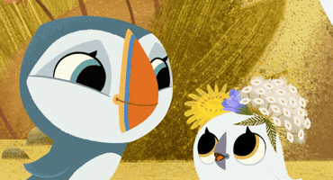 Cartoon Saloon GIF