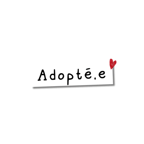 Adoptezmoigif Sticker