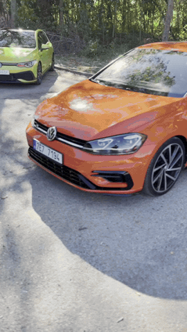 Vw Carmeet GIF