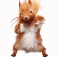 Dog Dancing GIF