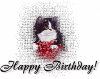 There's A Cat Licking Your Birthday Cake on Make a GIF