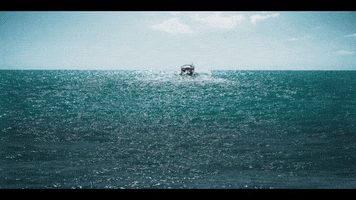 Shark Movie GIF by Signature Entertainment