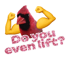 Bird Buddy Sticker