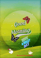 Good Morning Love GIF by The Seed of Life Foundation