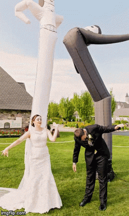 giphy.gif?cid=790b7611eb4dfefa8bbc3e7f6c
